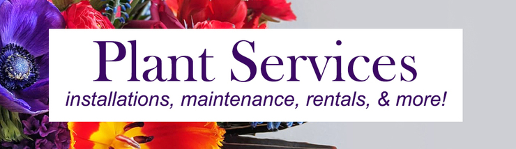 Plant Services