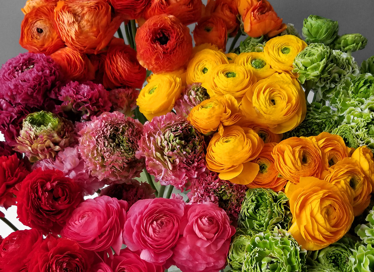 Bright, warm shades abound in this red, orange, yellow and pink arrangement